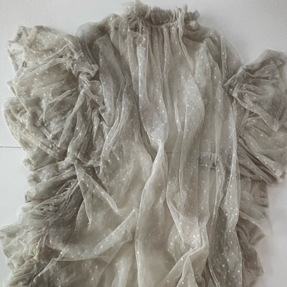 Sheer Ruffled Dress